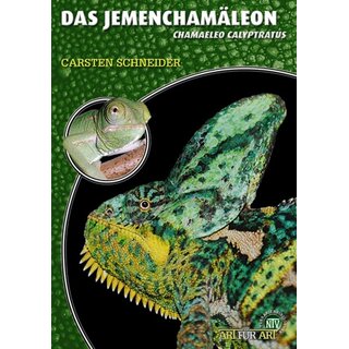 NTV Art fr Art Das Jemenchamleon (Chamaeleo calyptratus)