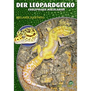 NTV Art fr Art Der Leopardgecko (Eublepharis macularius)