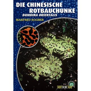 NTV Art fr Art Die Chinesische Rotbauchunke (Bombina orientalis)