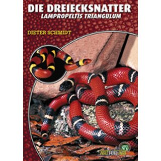 NTV Art fr Art Die Dreiecksnatter (Lampropeltis triangulum)