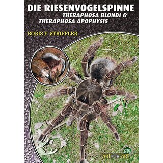 NTV Art fr Art Die Riesenvogelspinne (Theraphosa)