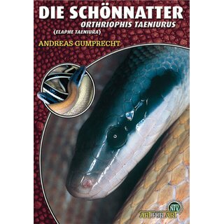 NTV Art fr Art Die Schnnatter (Orthriophis taeniurus)