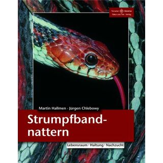 NTV Strumpfbandnattern