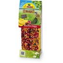 JR FARM Birdys Papagei Banane- Dattel- Himbeere 260g (2...