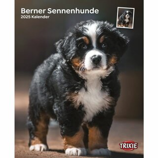 Kalender Berner Sennenhunde