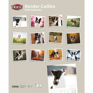 Kalender Border Collies