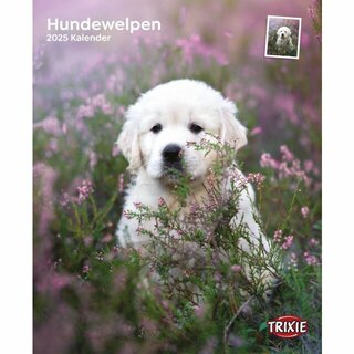 Kalender Hundewelpen