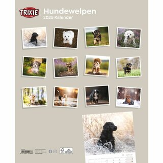 Kalender Hundewelpen