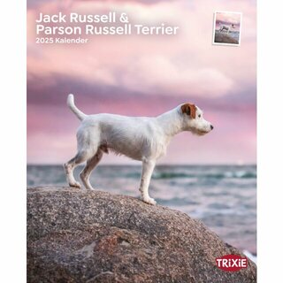 Kalender Jack Russell & Parson JR Terrier