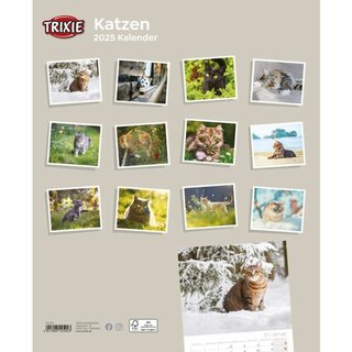 Kalender Katzen