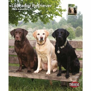 Kalender Labrador Retriever