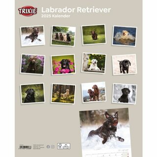 Kalender Labrador Retriever