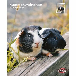 Kalender Meerschweinchen