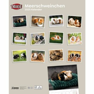 Kalender Meerschweinchen