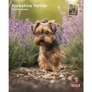 Kalender Yorkshire Terrier