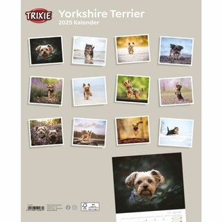 Kalender Yorkshire Terrier