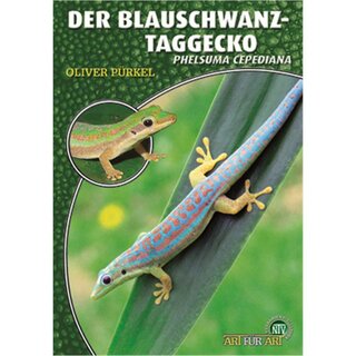 NTV Art fr Art der Blauschwanz Taggecko (Phelsuma cepediana)