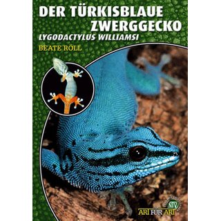 NTV Art für Art Der Türkisblaue Zwerggecko (Lygodactylus williamsi)