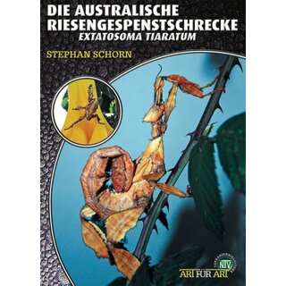 NTV Art für Art Die Australische Riesengespenstschrecke (Extatosoma tiaratum)