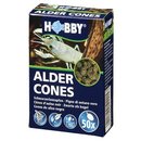 Hobby Alder Cones 50 Stck fr ca. 500L