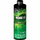 Microbe-Lift Plants P, Phosphor Dnger fr Pflanzen 118ml