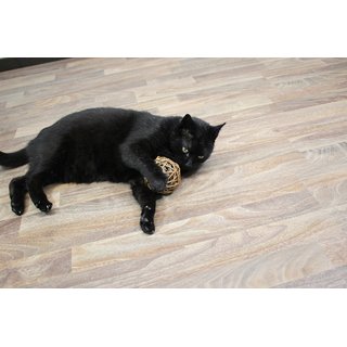 JR FARM Bavarian Catnip Katzenminze Nature- Ball