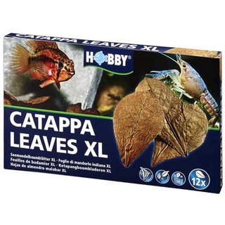 Hobby Catappa Leaves XL 12 Stck