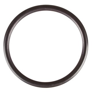 Oase O-Ring PN 48,0 x 4,0mm SH75 (3560)