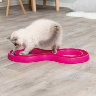 Trixie Flashing Ball Race, 65 x 31 cm, pink