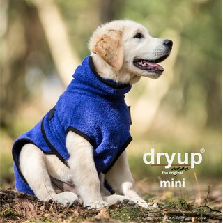 DRYUP cape Mini blueberry, 40 cm