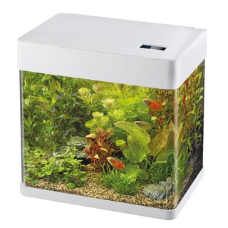 Superfish Panorama 50 LED, weiss