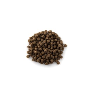 Alltech Coppens Profi- Futter Top Koi 6mm 15kg