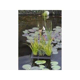 velda Floating Plant Oasis 30x40cm