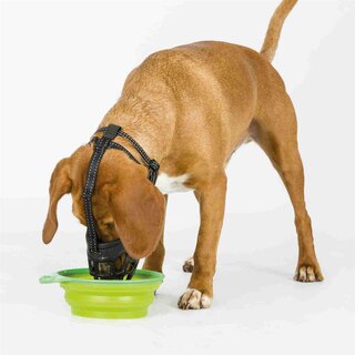 Trixie Muzzle Flex Maulkorb, Gummi XL, schwarz