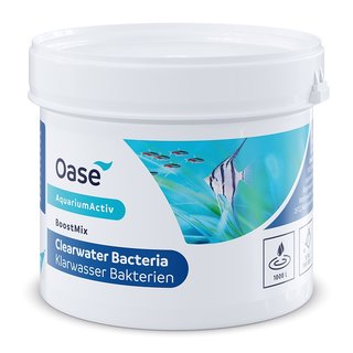 Oase AquariumActiv Boost Mix KlarWasser Bakterien 100g