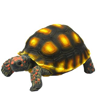 Hobby Turtle 1 (10x6x5cm)