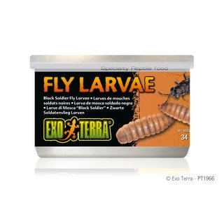Exo Terra Fly Larvae, Soldatenfliegn Larven, 34g