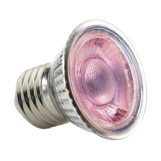 Exo Terra Daylight LED Spot NANO 5W