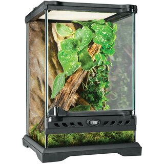 Exo Terra Glas Terrarium 20x20x30cm inkl. Rckwand