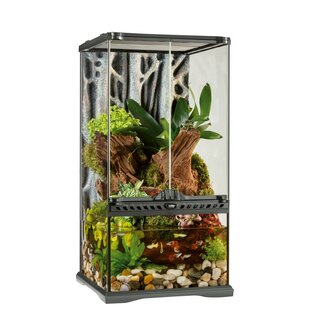 Exo Terra Glas Terrarium/ Paludarium 30x30x60cm