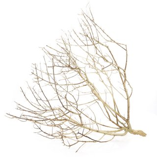 Hobby Desert Bush S (20- 30cm)