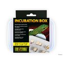 Exo Terra Incubation Box (16,5x11x5cm)