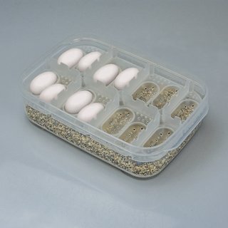 Hobby Easy Breeder Box