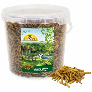 JR Garden Soldatenfliegen- Larven (Hermetia) 400g