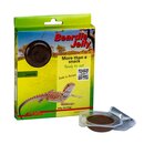 Lucky Reptile Beardie Jelly juvenil 60g (4x 15g)