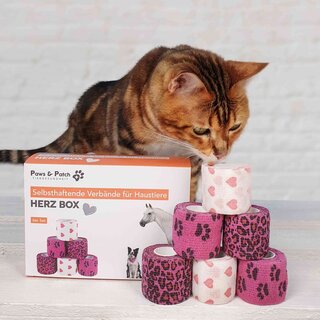 Selbsthaftende Verbnde fr Haustiere- 6er Set Herz Box