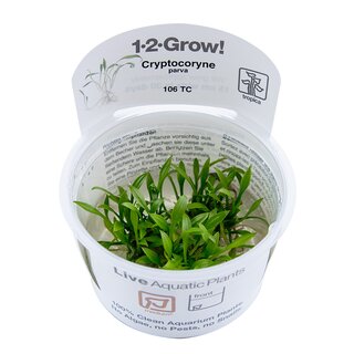 Cryptocoryne parva (1-2-Grow)