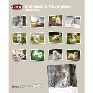 Trixie Kalender Malteser/Havaneser