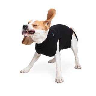 RSUIT-DOG-S+ BLACK (49 - 57 cm)