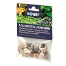 Hobby Sea Shells Set S 20 Stck